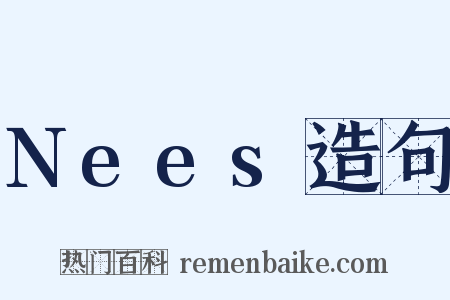 Nees造句是什么意思的图片